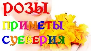 ROSES - SIGNS AND SUPERSTITUTIONS