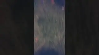 Needs friends/skip