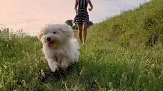#LG