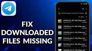 How To Fix Telegram Downloaded Media Files Not Showing