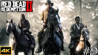 Red Dead Redemption 2 - New Horse - Walkthrough GamePlay 4K - Part 9