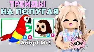 ТОП ТРЕЙДЫ НА ПОПУГАЯ В АДОПТ МИ. ЧТО ДАЮТ ЗА ПОПУГАЯ В РОБЛОКС. КОНКУРС ИТОГИ КОНКУРСА. PARROT