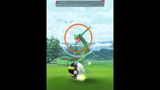 RAYQUAZA CATCH!!!