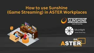 How to use Sunshine (Game Streaming) in ASTER Workplaces