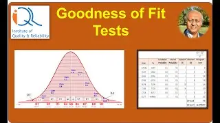 Goodness of fit Test