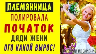 ПЛЕМЯННИЦА ПРОБОВАЛА ПО ВСЯКОМУ! Интересные истории из жизни. Аудио рассказы. Теща Сладкая