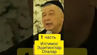 Хотинлар учун