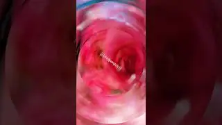 Поздравляю  С Днём ДЕВОЧЕК!                Для Вас!