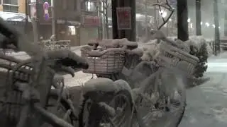 Free Stock Footage - Record heavy snowfall in Tokyo, 東京で記録的大雪 (2014)