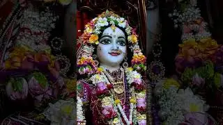 Adharam Madhuram #krishna #radhekrishna #gopinath #Shriradhe #jairadheshyam #jaijaikrishna #shree