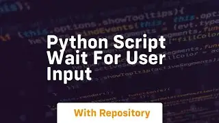 python script wait for user input