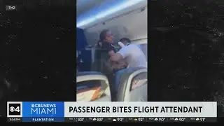 Caught on camera: Passenger bites flight attendant on flight from Miami to Newark