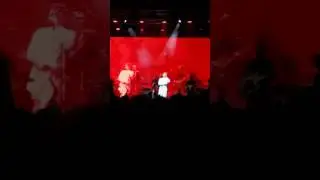 Alekseev Чувствую душой. Caribbean club 29.11.2016