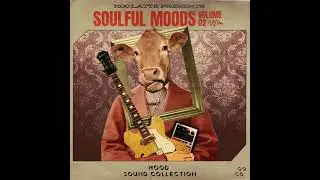 Moo Latte - Soulful Moods Vol. 2 Sample Pack