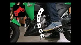 Откуда Берутся Ложные Нейтрали? | Голос Бездока | MC Garage 
