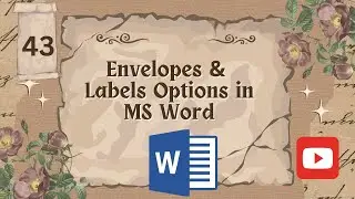 Envelopes and Labels Options in Microsoft Word | How to Use Envelopes and Labels in MS Word in Urdu