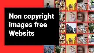 Non copyright images free I  Top 10 best websites for Designers & Editors in 2022