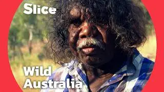 Australia’s Hidden Wilderness: The Untamed Heart of Kimberley | SLICE | FULL DOCUMENTARY