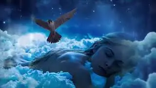 Я дарю тебе нежность. Стихи Натали Аникеева.
