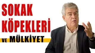 Mülkiyet ve Sokak Köpekleri - TC Anayasaları -  Prof. Dr. Süheyl Batum - B13