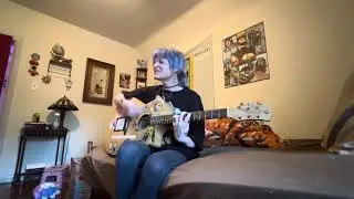 problems - pinegrove cover
