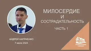 07.07.2024 Милосердие и сострадательность. Часть 1 (Андрей Наприенко) srm