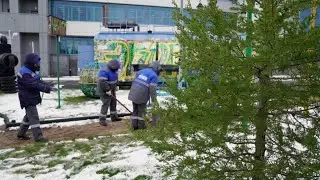 Экопарк готовят к открытию