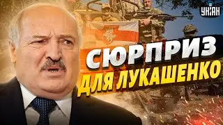 Вопрос решен! Добровольцы из Беларуси готовят сюрприз для Лукашенко