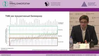 Предикторы ответа на иммунотерапию: взгляд морфолога