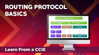 Learn Routing Protocol Basics From a CCIE