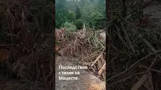 Река Мацеста. Последствия ливня в Сочи 2023. Смыло мост/Дом в Сочи @domvsochi #shorts