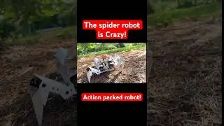 Spider Robot Pi Crawler in Action! Raspberry Pi Robot Kit - Robotics 101 #raspberrypi #robotics