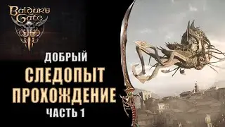 Baldur's Gate 3 - [Прохождение 1] Следопыт. Корабль Иллитидов, обучение. Играем за 