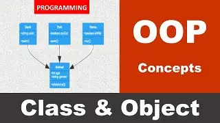 Difference between Class & Object | Class & Object | OOP in Programming