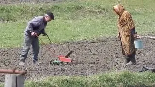 Нормальный я мужик