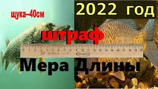 Норма вылова рыбы 2022. Штраф за рыбалку 2022. Размер рыб для вылова. Рыболовные правила 2022.