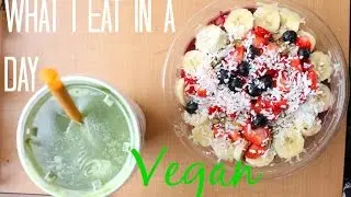 What I Eat in a Day as a Vegan College Student + My Current Food Stash!