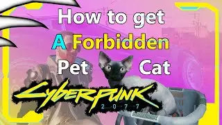 How to get a pet Cat in Cyberpunk 2077