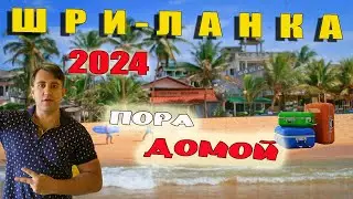 ШРИ ЛАНКА 2024. ПОСЛЕДНЕЕ УТРО В ХИККАДУВЕ. ЛЕЧУ В РОССИЮ.