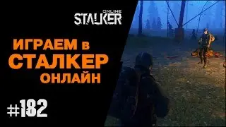 ИГРАЕМ в СТАЛКЕР ОНЛАЙН. 182 выпуск. Охота на Бурого медведя.