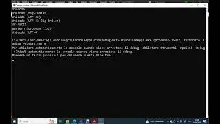 encodinginfo class in c#