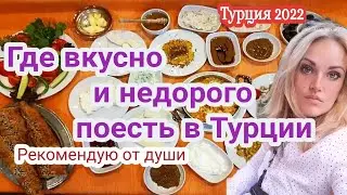 Турецкая еда. Где вкусно и недорого поесть в Турции. Polat Alanya жизнь в Турции сегодня.