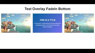 Image Overlay Fade In Bottom Text effect and Responsive using only HTML and CSS.