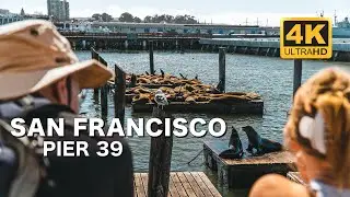 Pier 39 - Alcatraz, street performers and seals 24/7 SanFran.USA