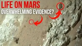 Perseverance Finds Hints of Life On Mars! This Rock Shocked NASA