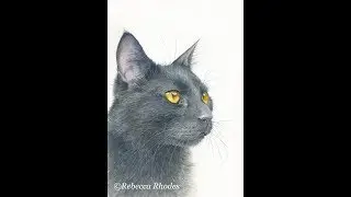 How to Paint a Realistic Black Cat in Watercolor, Course Preview