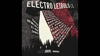 ELECTRO LEIBOLS  I (Valencia)