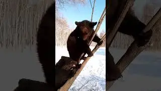 Дуся воспитатель.