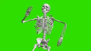 Skeleton Dance - Green Screen Effect 4K UHD