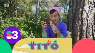 Excursió amb panellets i pinyons - Titó